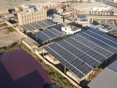 Sadiqabad Flour Mills