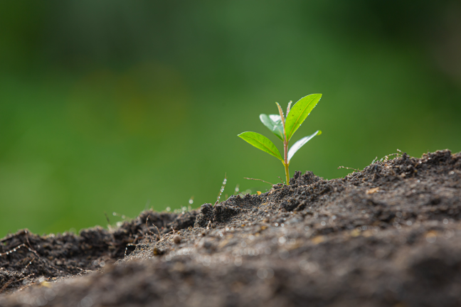 How Solar Benefits the environment and public health